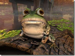 frog1