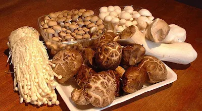 THE ACTIVE INGREDIENTS IN MUSHROOMS: POLYSACCHARIDES