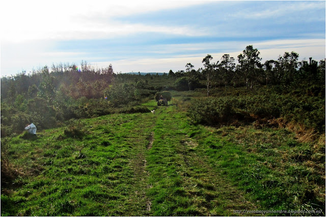 tractor cargado