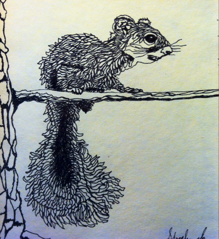 Squirrel Sketch by Shoshanah Lee Marohn 2016