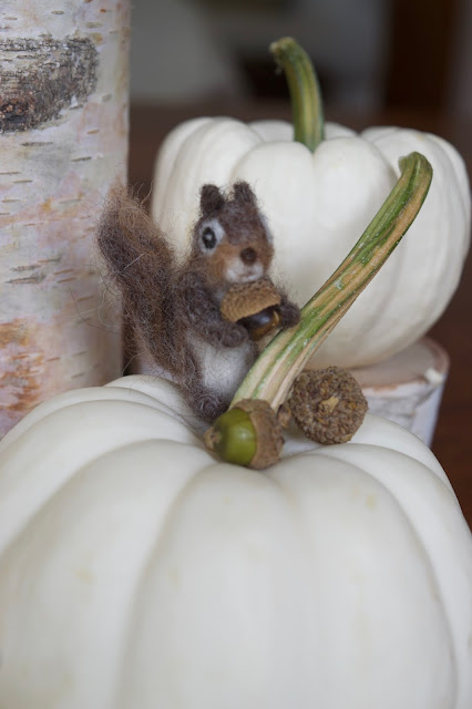 Tiny squirrel with miniature white pumpkin and tiny acorn