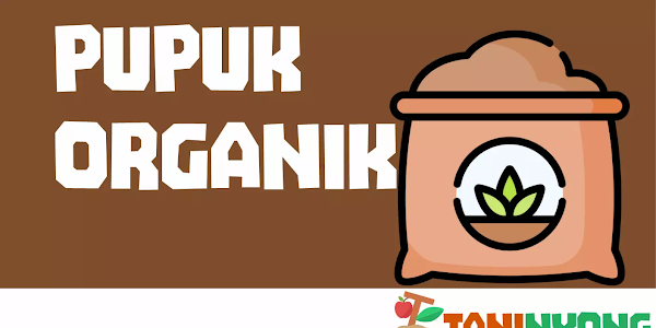 Pengertian, Sejarah, Jenis, Manfaat, Keunggulan, dan Cara Membuat Pupuk Organik