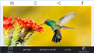  App Type : PhotoGraphy Version : 1.7.6 Requires Android 2.3 and up Installs 1,000,000 - 5,000,000 Offered By Lyrebird Studio     Screenshot : Photo Editor HDR FX APK                                  Photo editor HDR Fx give you change your picture look. you can Make a beautiful picture Use this awesome app. There is more option for editing your picture. HDR photo Editing smart phone app if you use this app get more photo editing filter.   Filter list :  Vignette filters. • Collages, and grids. • Photo filters. • Gorgeous hdr photo effects and frames. • Overlay and bokeh effects. • Crop, rotate, and straighten your photo. • 50 HDR effects. • Contrast, Brightness, Saturation, Tint, Opacity editor. • Unsharp filter, sharpness editor, sharpen and blur.