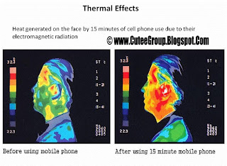 Therma Effect Important Info GSM awareness