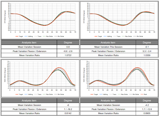 Walkbot Gait Analysis Report(3)