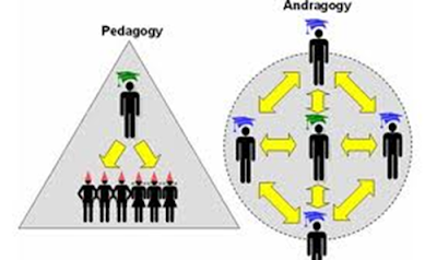 Beberapa asumsi di atas, memperjelas bahwa pengajaran orang dewasa (andragogi) sangatlah berbeda dengan pengajaran terhadap anak-anak (pedagogi). Asumsi-asumsi diatas juga berpengaruh pada iklim belajar andragogi, baik yang berkaitan dengan lingkungan belajar, strategi dan metode pembelajaran, sumber belajar, media, kurikulum, model evaluasi, orientasi belajar maupun tugas yang harus diperankan guru. Semua yang sudah disebutkan tadi harus disesuaikan dengan karakter dan keadaan orang dewasa. Karena pilihan setrategi, metode ataupun media yang kurang tepat akan menjadikan proses belajar tidak berjalan sesuai dengan apa yang diharapkan.