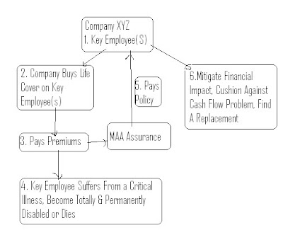 The Keyman Insurance enables a business entity or a company to buy a life 