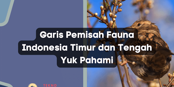 Garis Pemisah Fauna Indonesia Timur dan Tengah Yuk Pahami