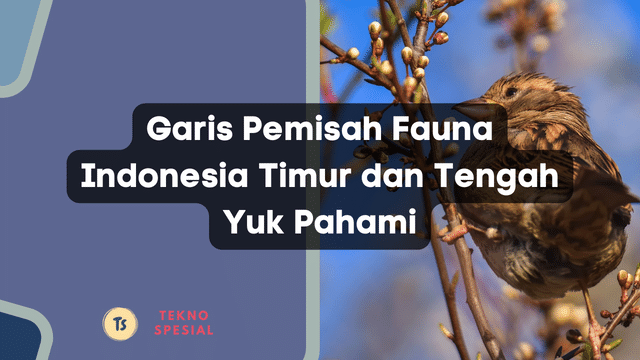 Garis Pemisah Fauna Indonesia Timur dan Tengah Yuk Pahami