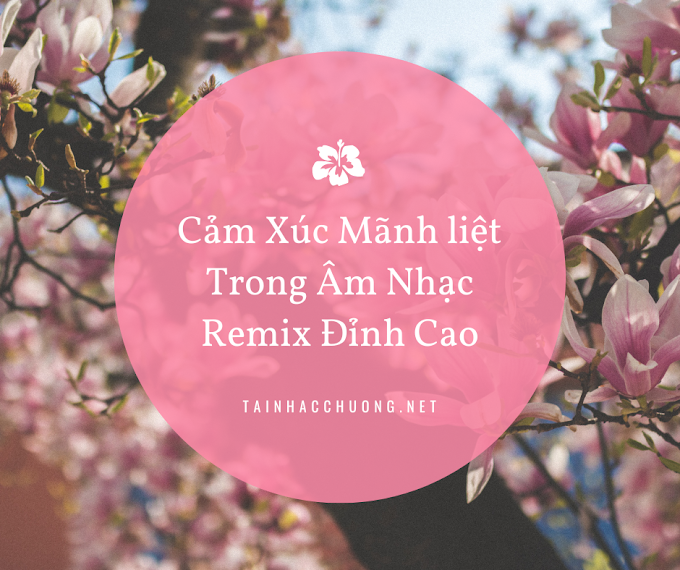 Cảm Xúc Mãnh liệt Trong Âm Nhạc Remix Đỉnh Cao