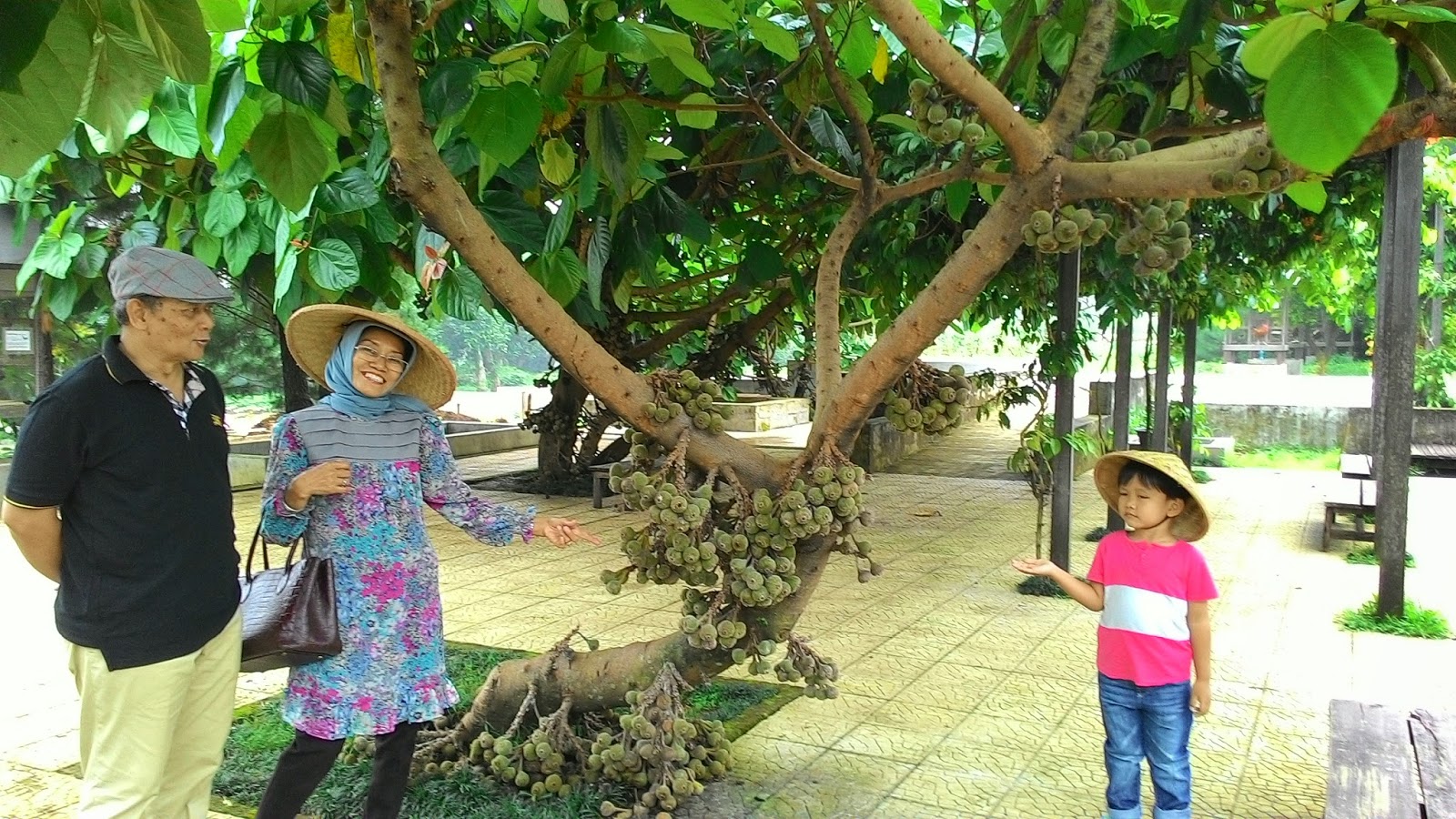 Bermain dengan Marmut di Kuntum Farm Field Bogor - Pejalan 