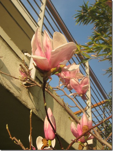 043