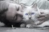 Cats Bonding With Their Owners