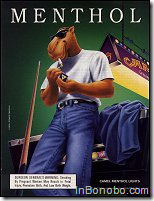 Camel Menthol