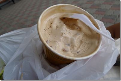 mocha ice cream 