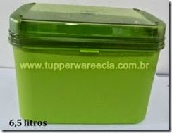 classic_tupperware_n3