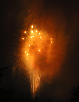 fireworks that looks like a lion face