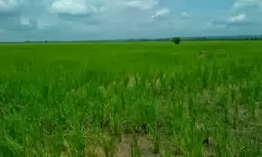 terseeradamu.blogspot.com