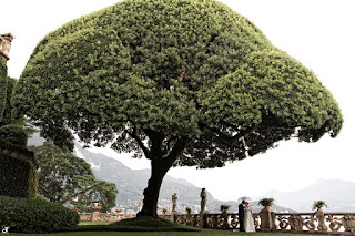 Daniela Tanzi Lake-Como-wedding-photographers http://www.balbianellowedding.co.uk/