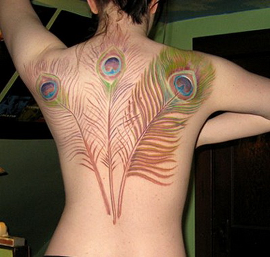 Peacock feather tattoo designs