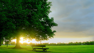 Bench Green Field and SunsetLandscape HD Wallpaper
