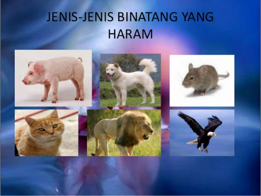  BINATANG  BINATANG  YANG  HARAM 