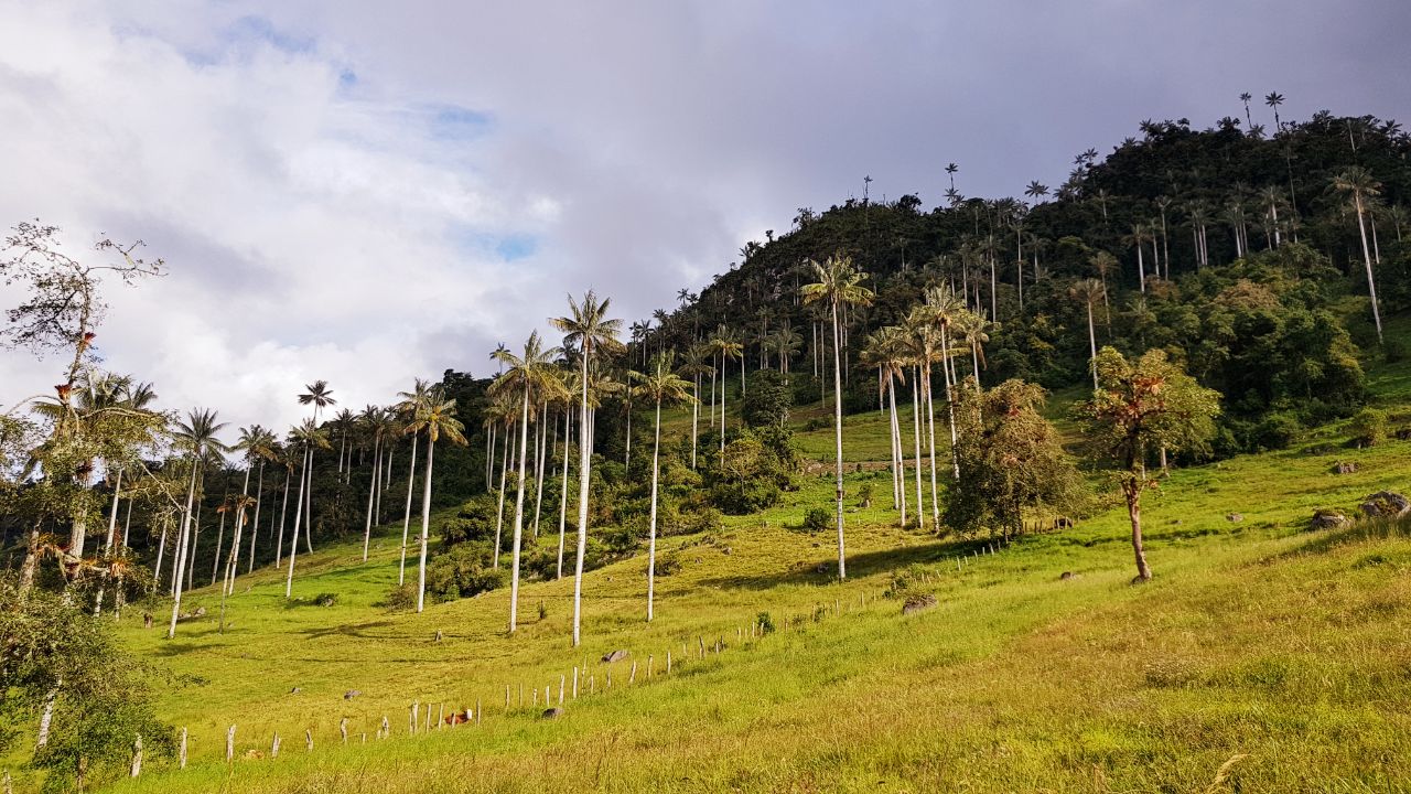 Parque Nacional Cutervo