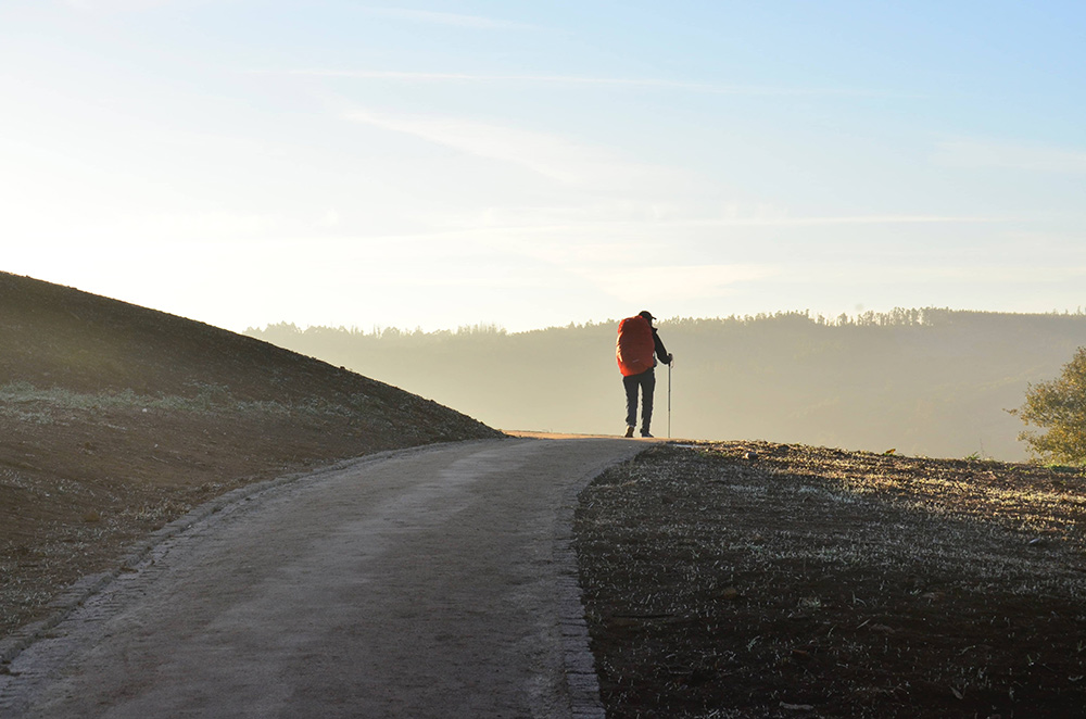 Camino de Santiago