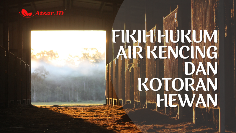 Fikih Hukum Air Kencing dan Kotoran Hewan