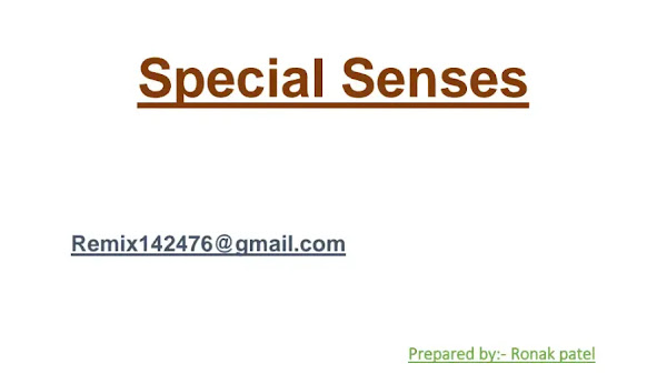 About Special Senses PDF | PPT