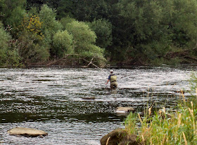 Just west of Ovingham Bridge