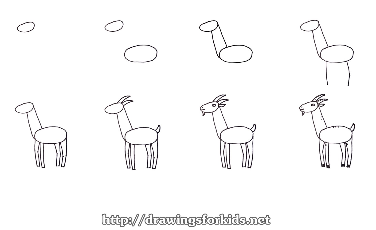 How to draw a GOAT for kids - drawingsforkids.net