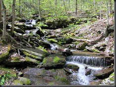 Rocky Stream