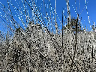 郡大山沿途景色