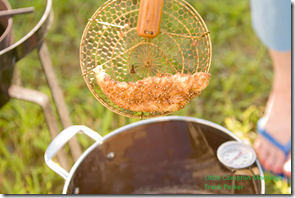 Fish fry fried