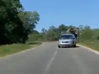 Car Driver Just Saved From Huge Accident...!!!