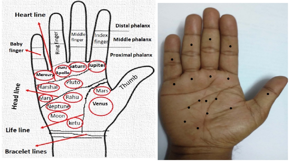 Language of your palm #palmistry #palmreading #astrology #astro #line #fate  #fortune | Instagram