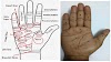 Significance of moles in palm and their impact in human life