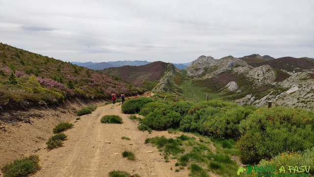 Descenso del Pico Amargones a la zona de Vichidiechas