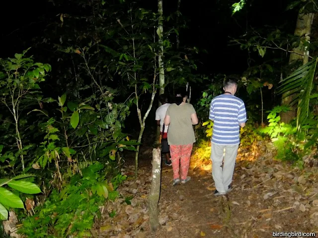 Night walk with Russian tourists in Manokwari of West Papua