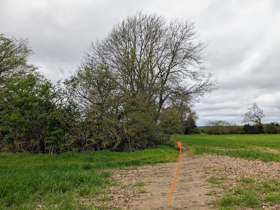 Follow Hatfield footpath 48 NW with the hedgerow on the left