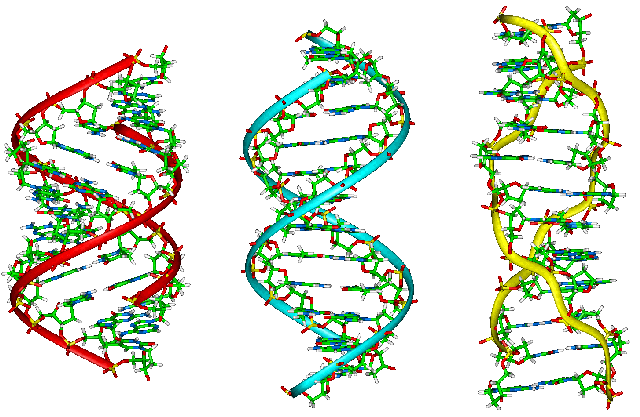 This Is What Makes DNA And RNA So Interesting