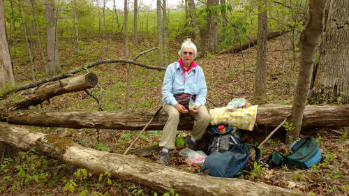 lunch site