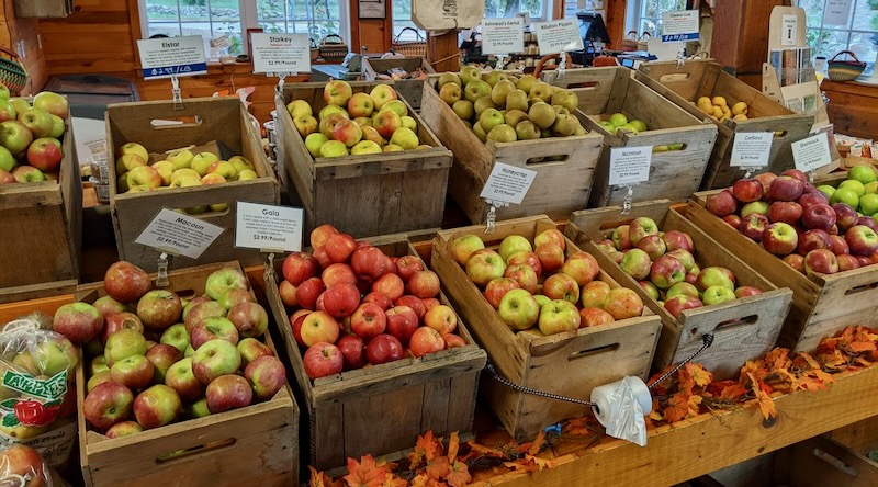 Wooden bins filled with apples inside a rustic store