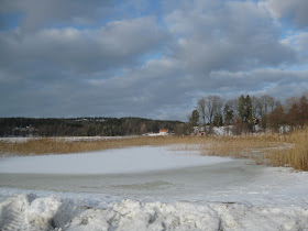 Spaziergang südlich Stockholm im Winter