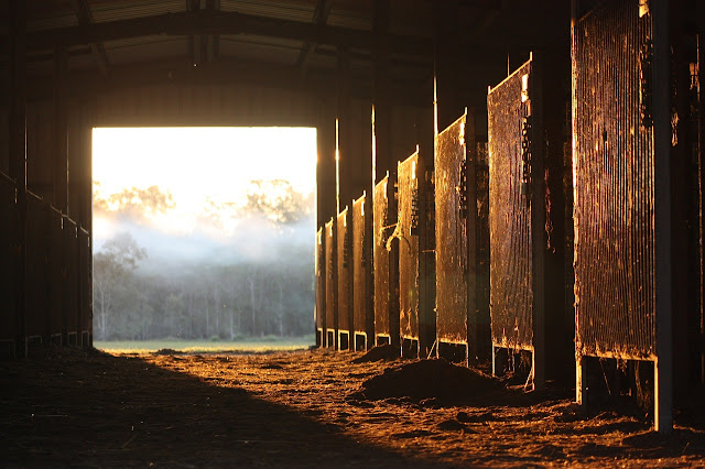 Picture of the augean stables