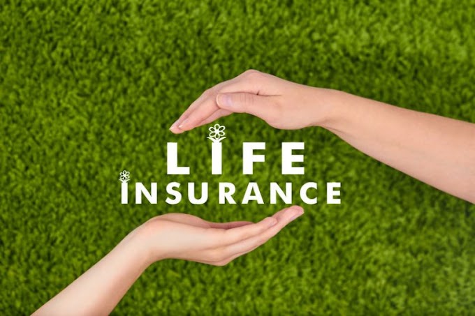 Haven Life Insurance Review 2022