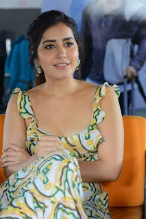 Actress Raashi Khanna Stills At Prati Roju Pandage Movie Interview  