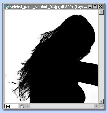 tutorial photoshop untuk membuat seleksi dengan channel dan layer 
mask, gambar 4