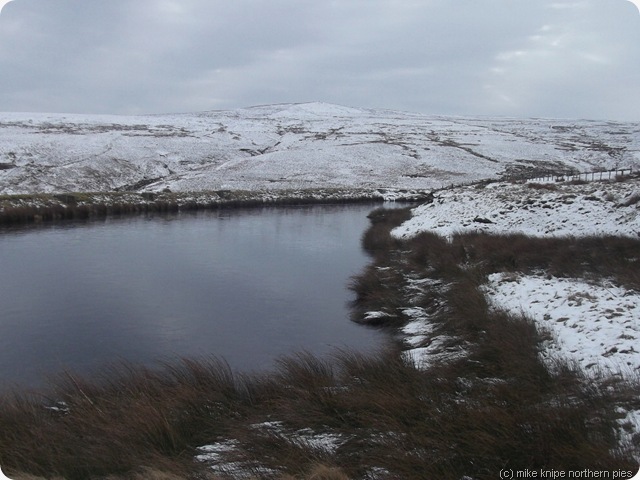 bolts law from the north